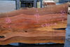 Sycamore Slab 081524-1