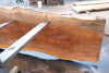 Sycamore Slab 081524-2
