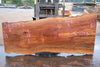 Sycamore Slab 081524-2