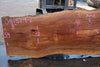 Sycamore Slab 081524-2