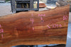 Sycamore Slab 081524-2