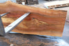 Sycamore Slab 081524-3