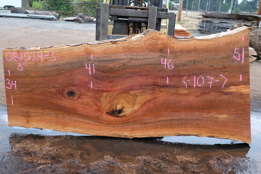 Sycamore Slab 081524-3