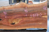Sycamore Slab 081524-3