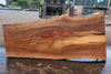Sycamore Slab 081524-4