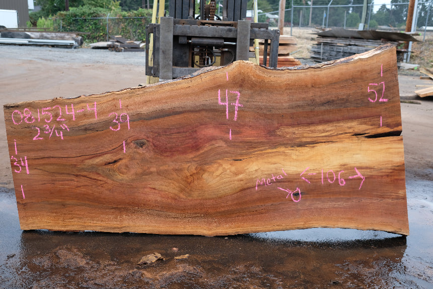 Sycamore Slab 081524-4
