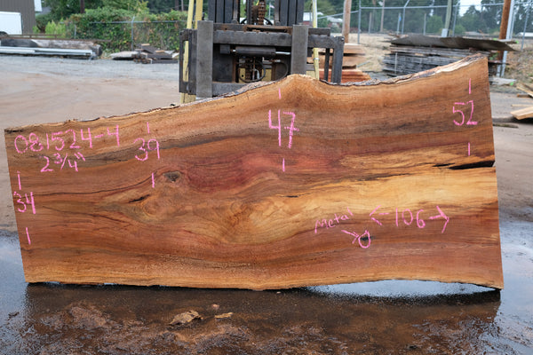 Sycamore Slab 081524-4