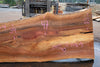 Sycamore Slab 081524-4