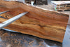 Sycamore Slab 081524-5