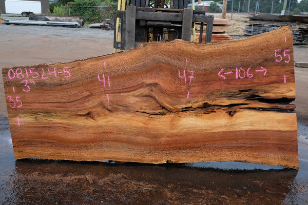 Sycamore Slab 081524-5