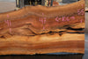 Sycamore Slab 081524-5