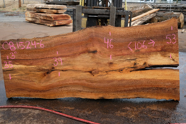 Sycamore Slab 081524-6