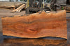 Sycamore Slab 081524-7