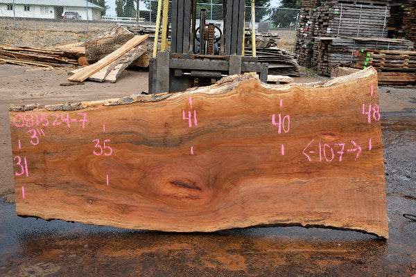 Sycamore Slab 081524-7