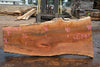 Sycamore Slab 081524-7