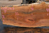 Sycamore Slab 081524-7