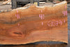 Sycamore Slab 081524-7