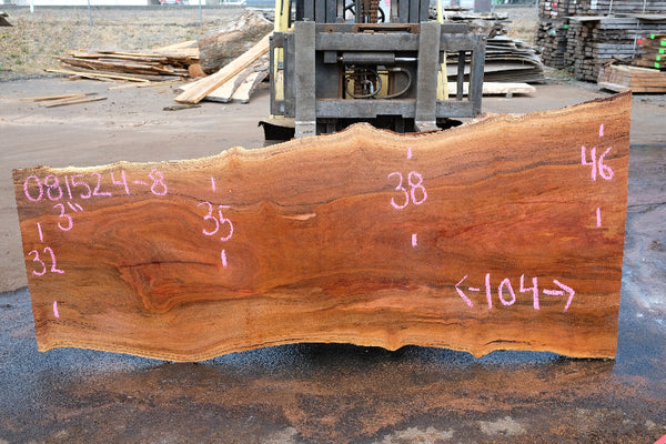 Sycamore Slab 081524-8