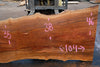 Sycamore Slab 081524-8