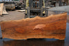 Sycamore Slab 081524-9