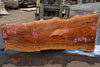 Sycamore Slab 081524-9