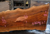 Sycamore Slab 081524-9