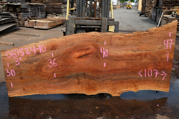 Sycamore Slab 081524-10