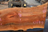 Sycamore Slab 081524-10