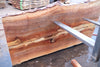 Sycamore Slab 082224-1