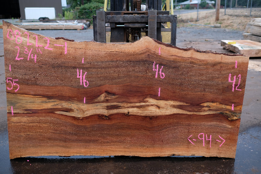 Sycamore Slab 082224-1
