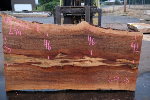 Sycamore Slab 082224-1
