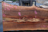Sycamore Slab 082224-1