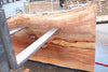 Sycamore Slab 082224-2