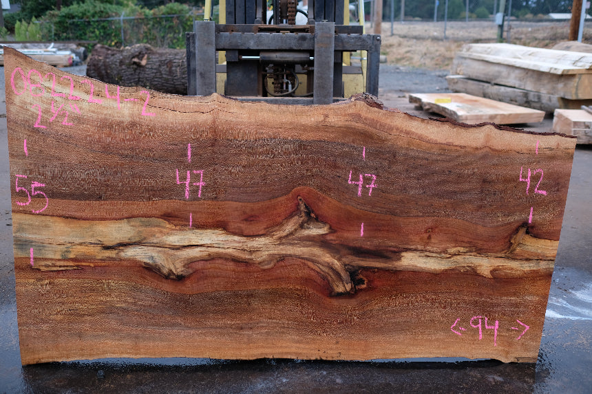 Sycamore Slab 082224-2