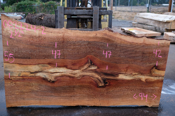 Sycamore Slab 082224-2