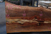 Sycamore Slab 082224-2