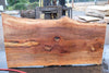 Sycamore Slab 082224-3