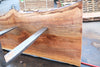 Sycamore Slab 082224-3