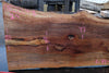 Sycamore Slab 082224-3