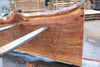 Sycamore Slab 082224-4