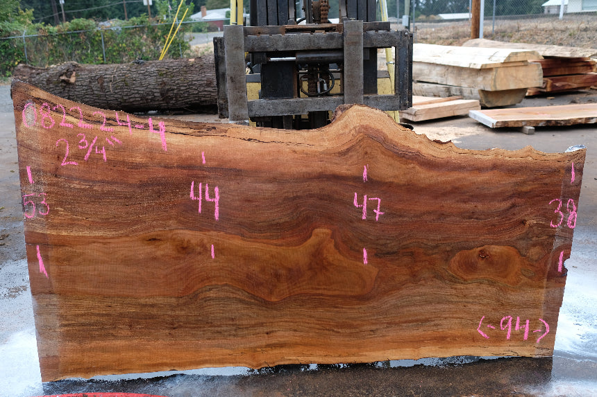 Sycamore Slab 082224-4