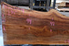 Sycamore Slab 082224-4