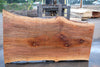 Sycamore Slab 082224-5