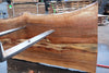 Sycamore Slab 082224-5