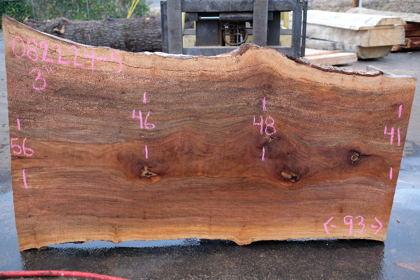 Sycamore Slab 082224-5