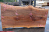 Sycamore Slab 082224-5