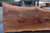 Sycamore Slab 082224-5