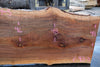 Sycamore Slab 082224-5