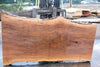 Sycamore Slab 082224-6