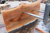 Sycamore Slab 082224-6